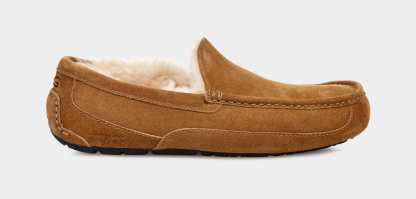 Ascot Slipper - MEN��s