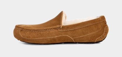 Ascot Slipper - MEN��s