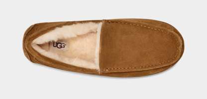 Ascot Slipper - MEN��s