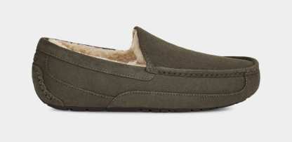 Ascot Slipper - MEN��s