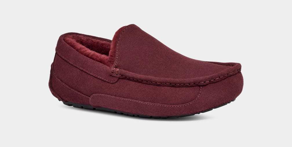 Ascot Slipper - MEN��s