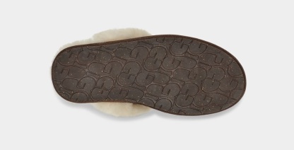 Scuffette II - WOMEN's