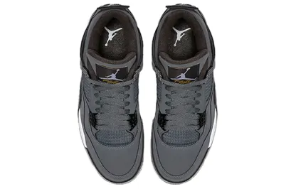 Air jortthhdan 4 Retro 'Cool Grey' 2019 308497-007