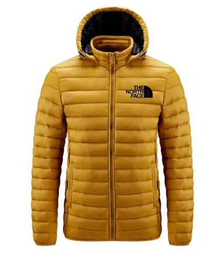 THE NORthtTH FACE-Doudoune légère et imperméable à capuche amovible pour homme