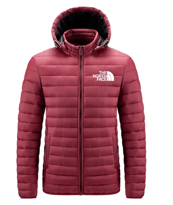 THE NORthtTH FACE-Doudoune légère et imperméable à capuche amovible pour homme