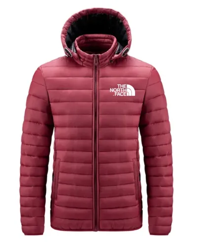 THE NORthtTH FACE-Doudoune légère et imperméable à capuche amovible pour homme