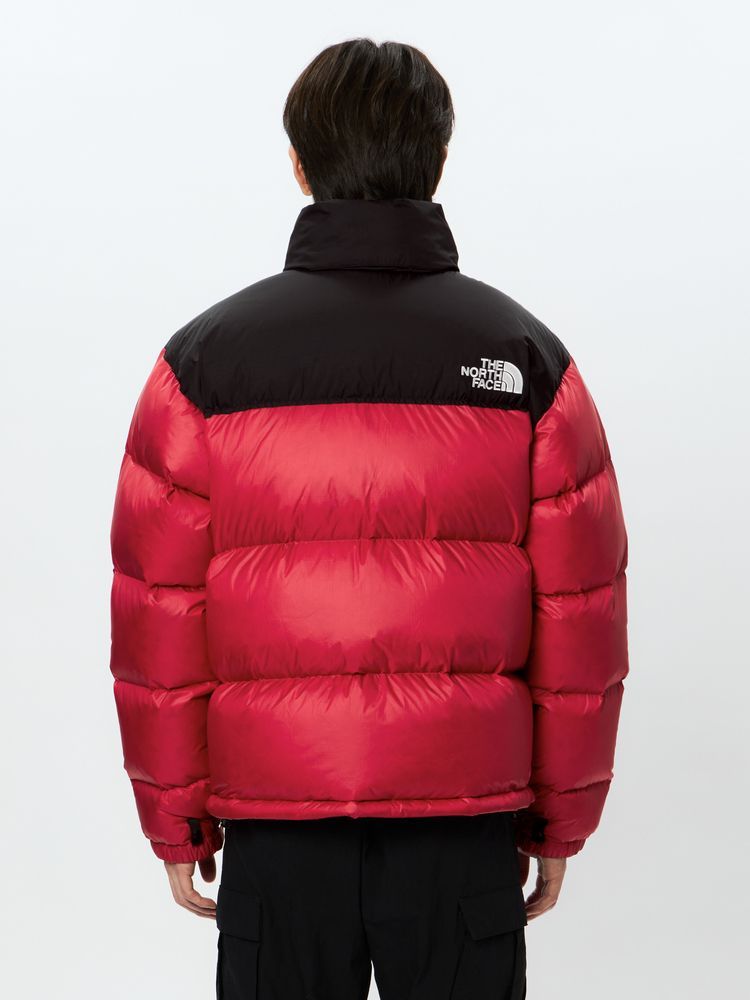 Giacca Nuptse (da uomo)
