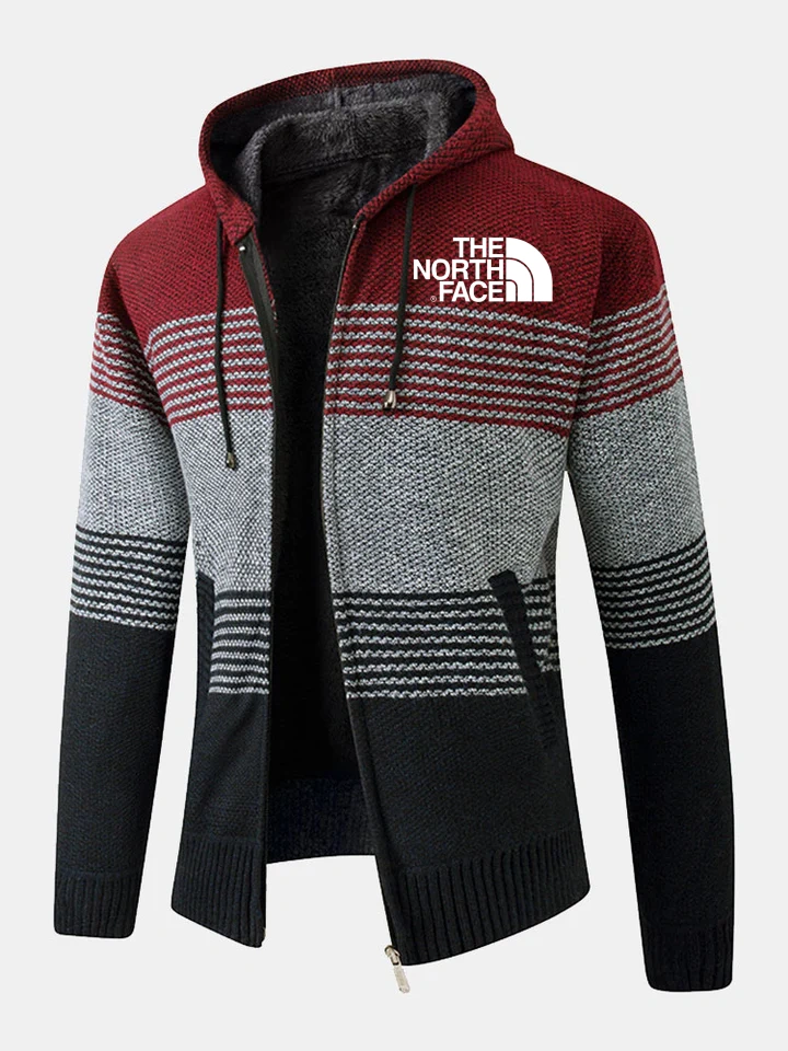 THE NORthtTH FACE-Pull à capuche rayé zippé