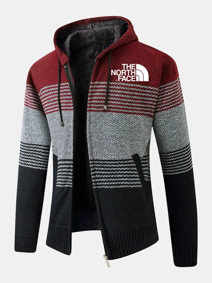 THE NORthtTH FACE-Pull à capuche rayé zippé