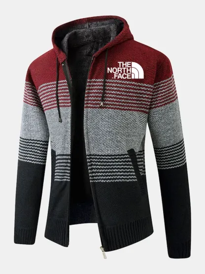 THE NORthtTH FACE-Pull à capuche rayé zippé