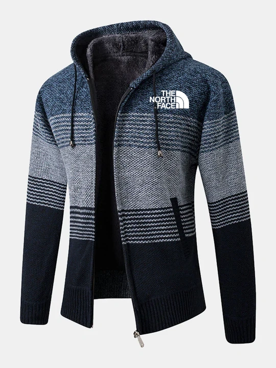 THE NORthtTH FACE-Pull à capuche rayé zippé