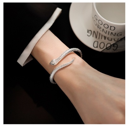 Silver Snake Bracelet