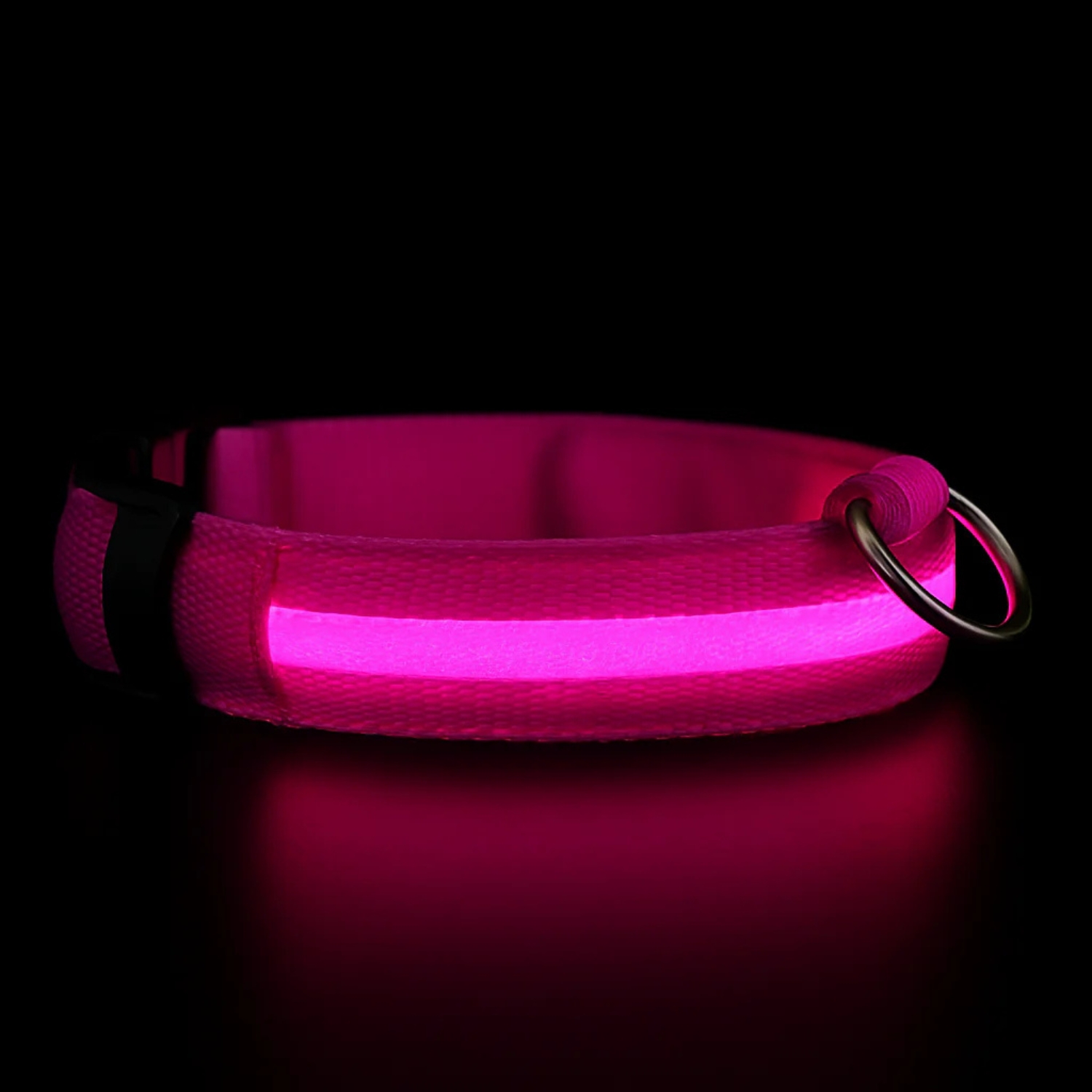 Glow Guard LED Light Up Pet Collar For Night And Visibility