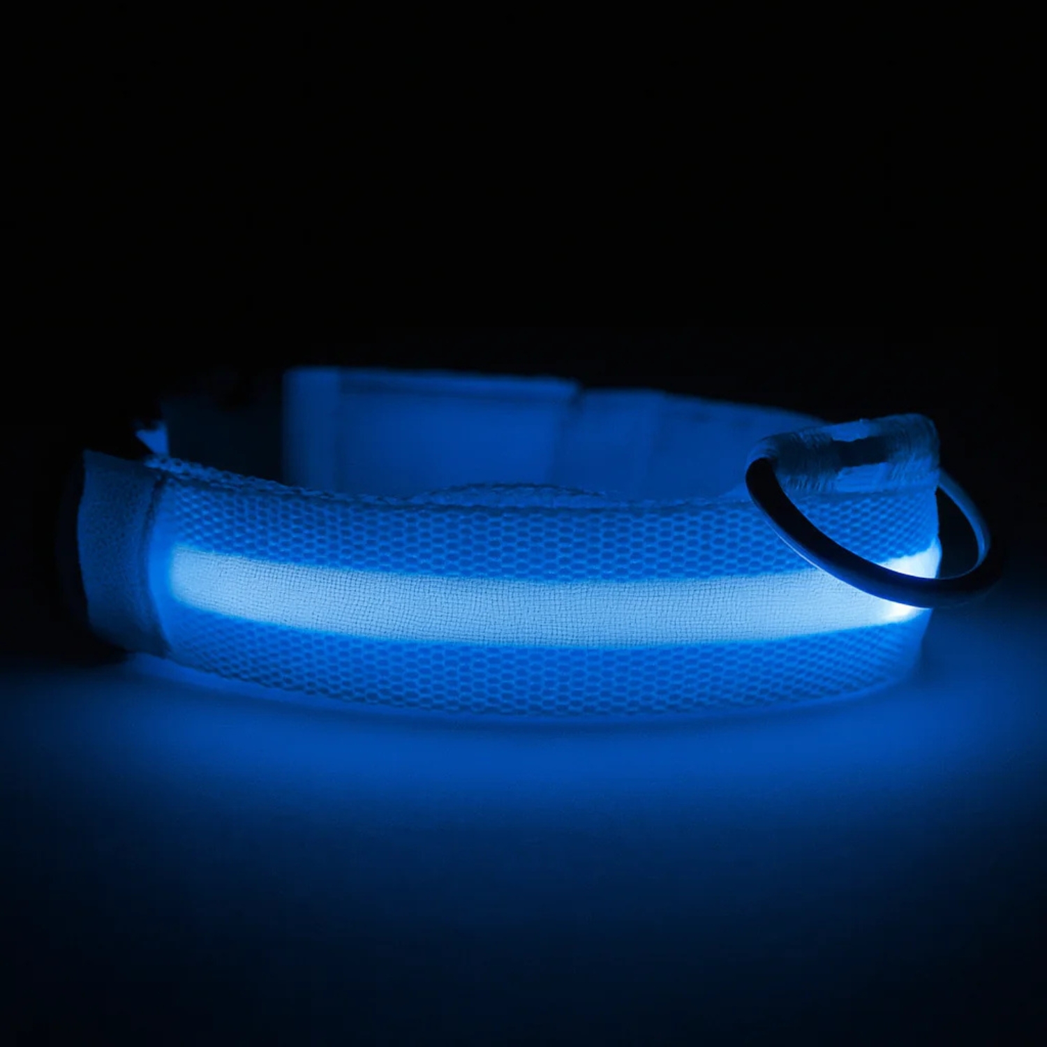 Glow Guard LED Light Up Pet Collar For Night And Visibility