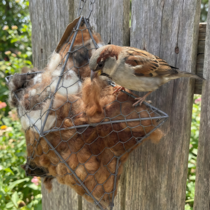Handmade Alpaca Fiber Bird Nesting Star: Nature-Inspired Yard Art