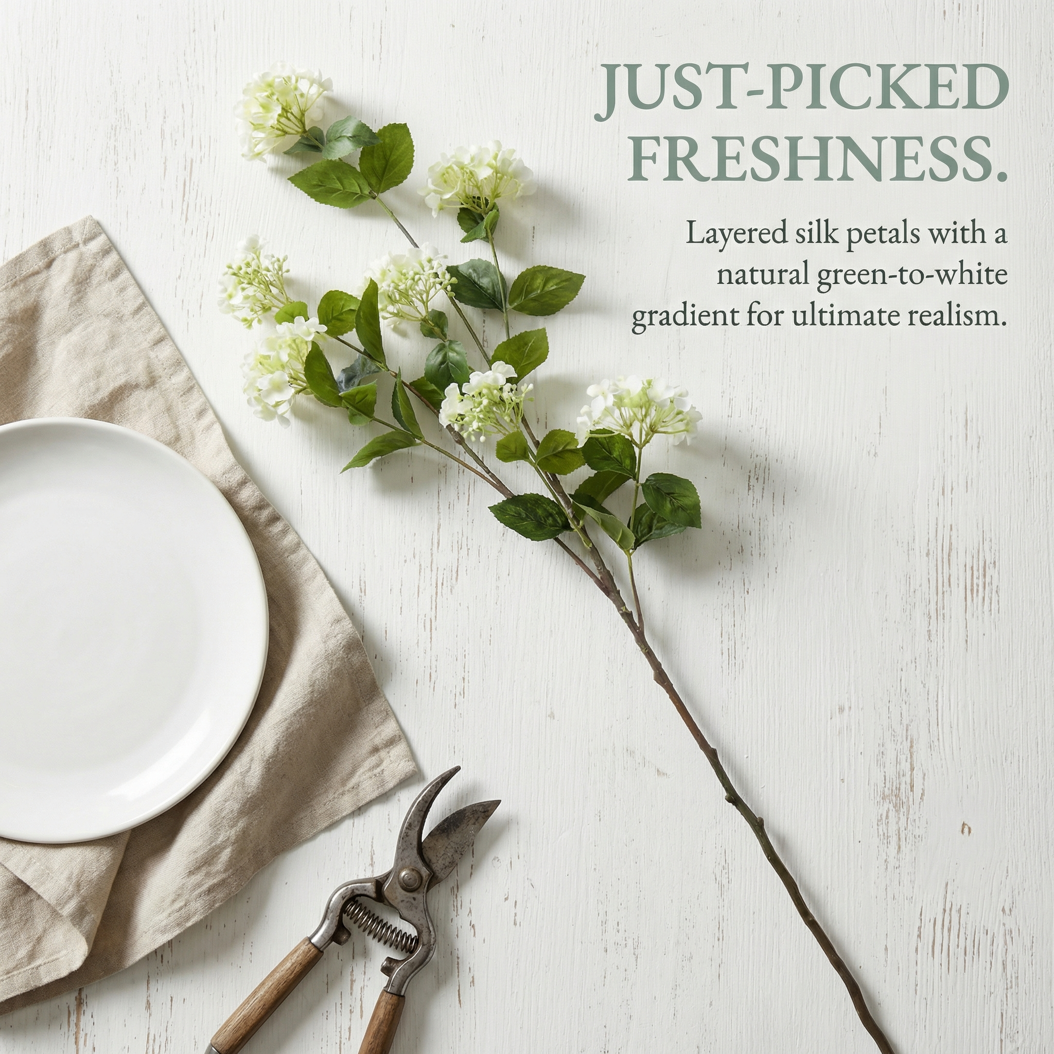 White Hydrangea Stem