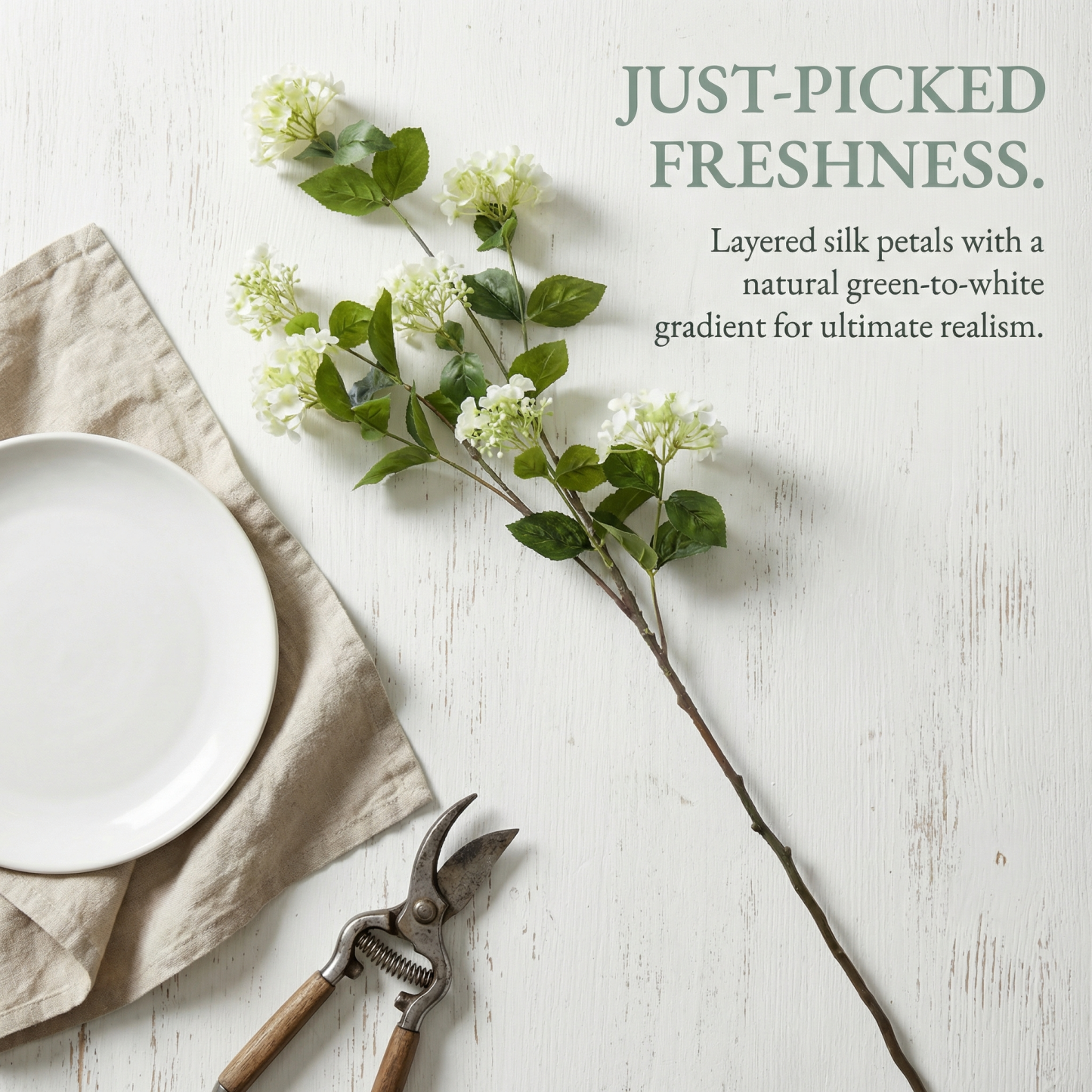 White Hydrangea Stem