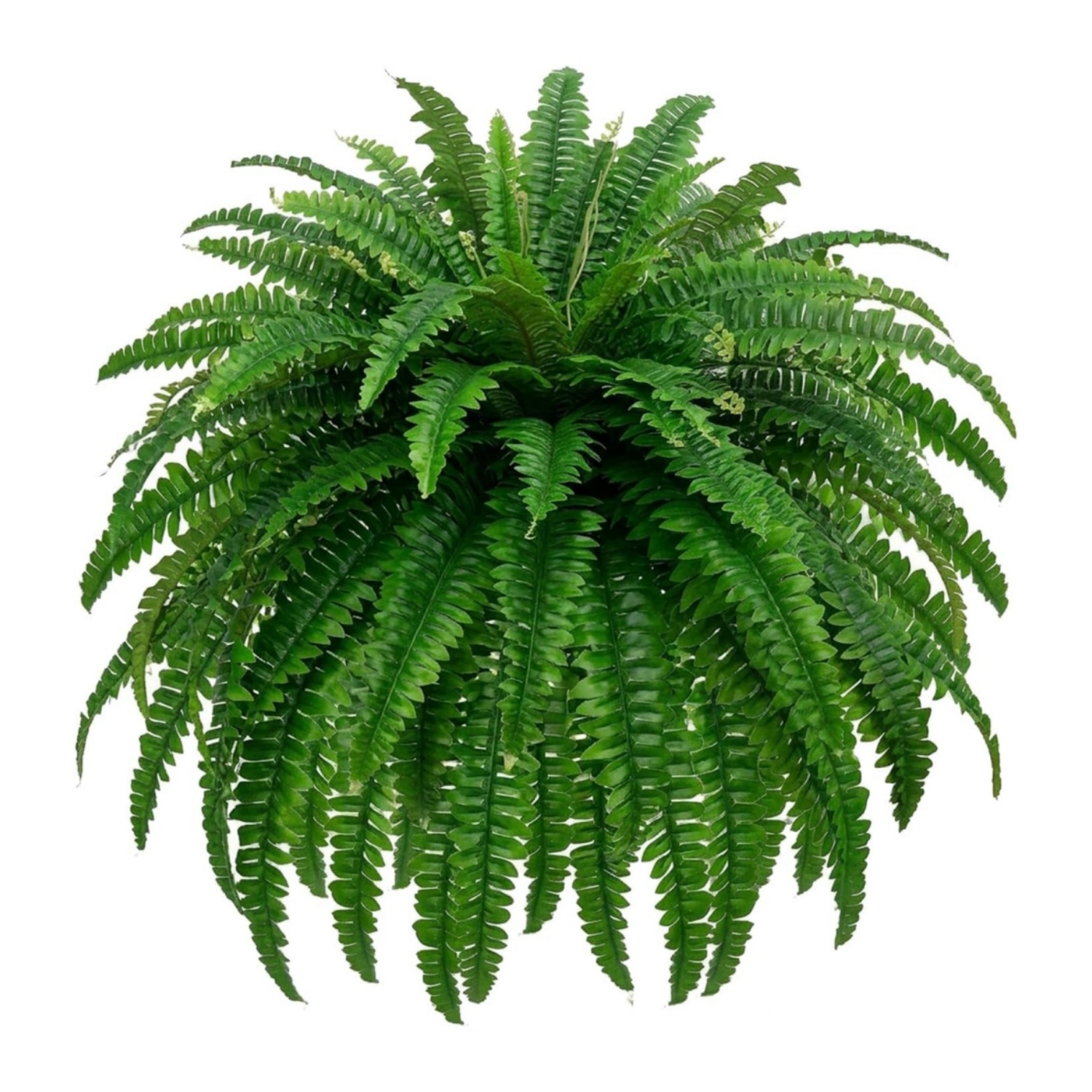 Large Artificial Boston Fern Plants 88 Branches