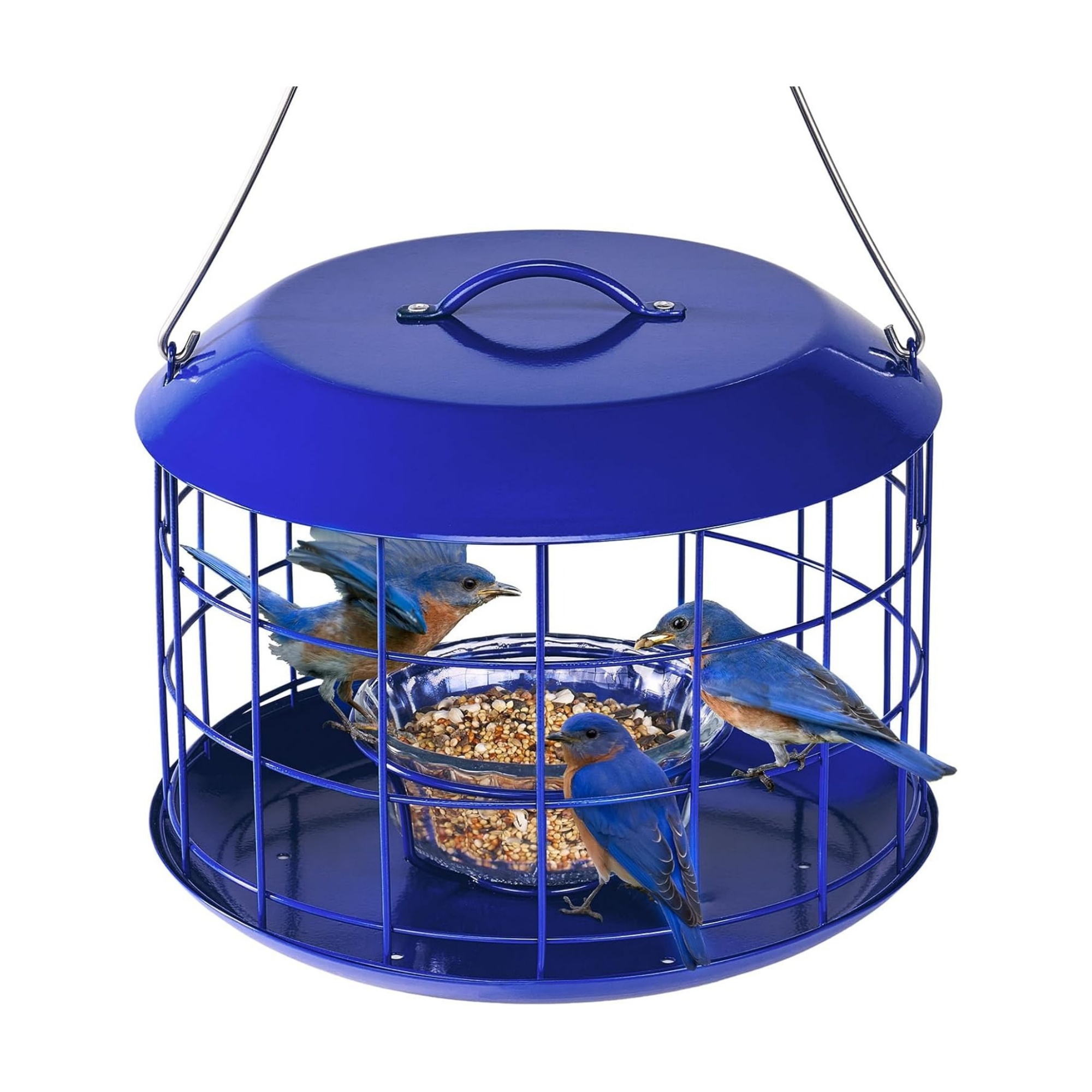 Bluebird Feeders for Outdoors Hanging