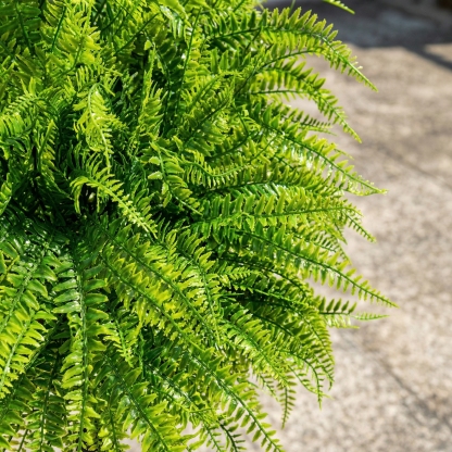UV Resistant Lush Artificial Boston Fern with Integrated Ground Stake