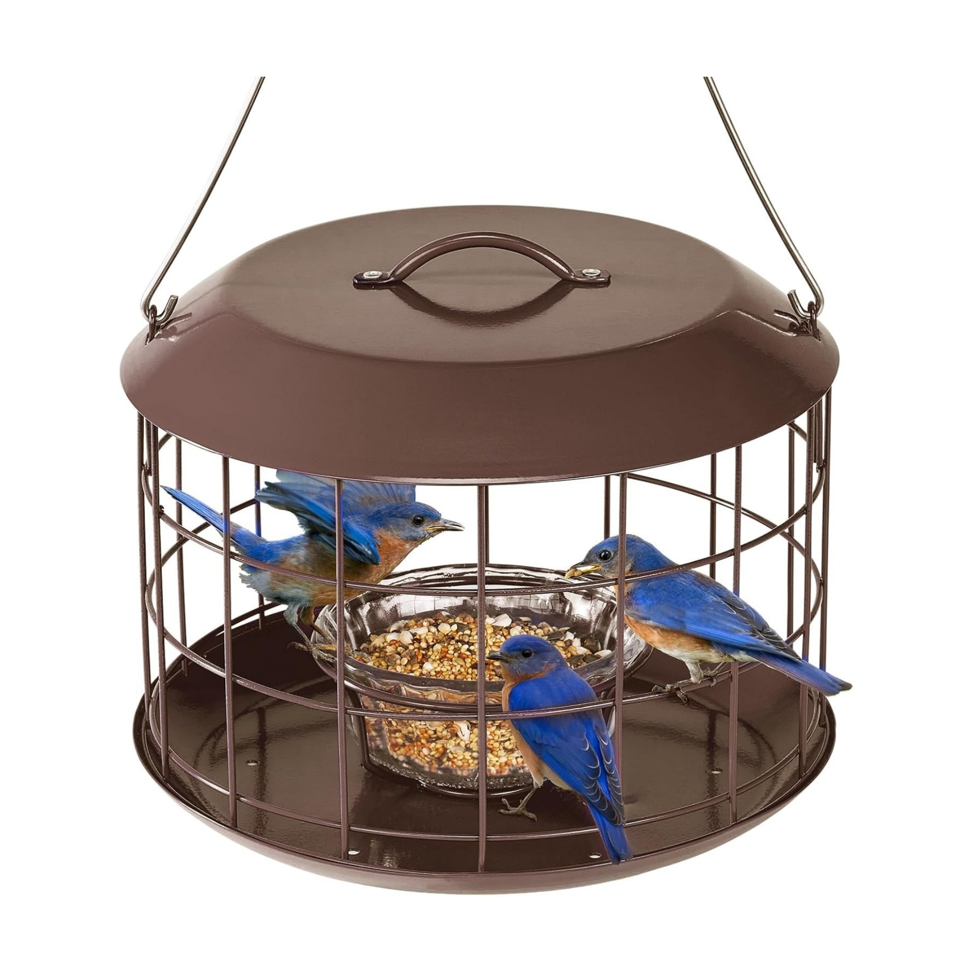 Bluebird Feeders for Outdoors Hanging