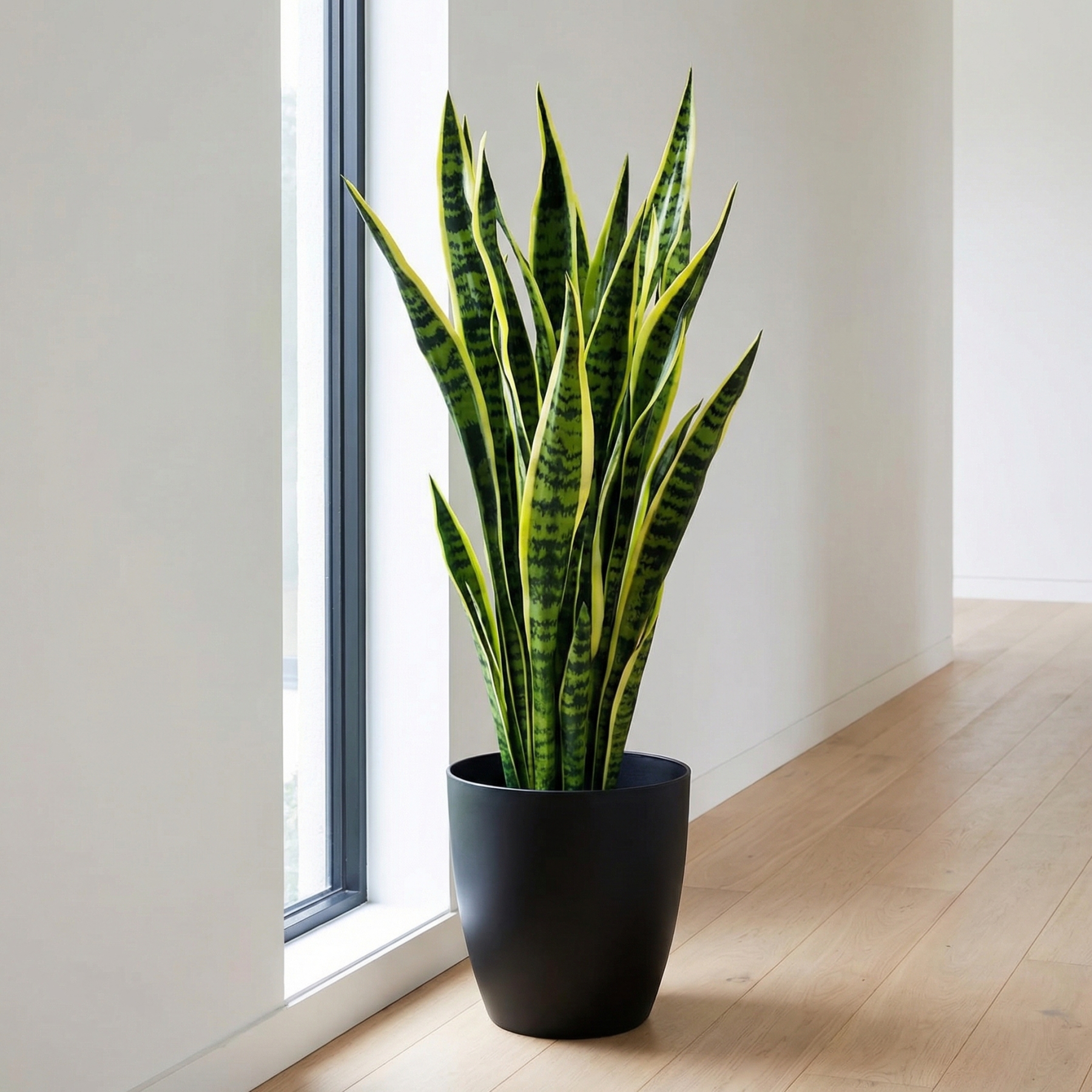 Extra Long Artificial UV tolerant Sansevieria Greenery