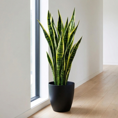 Extra Long Artificial UV tolerant Sansevieria Greenery