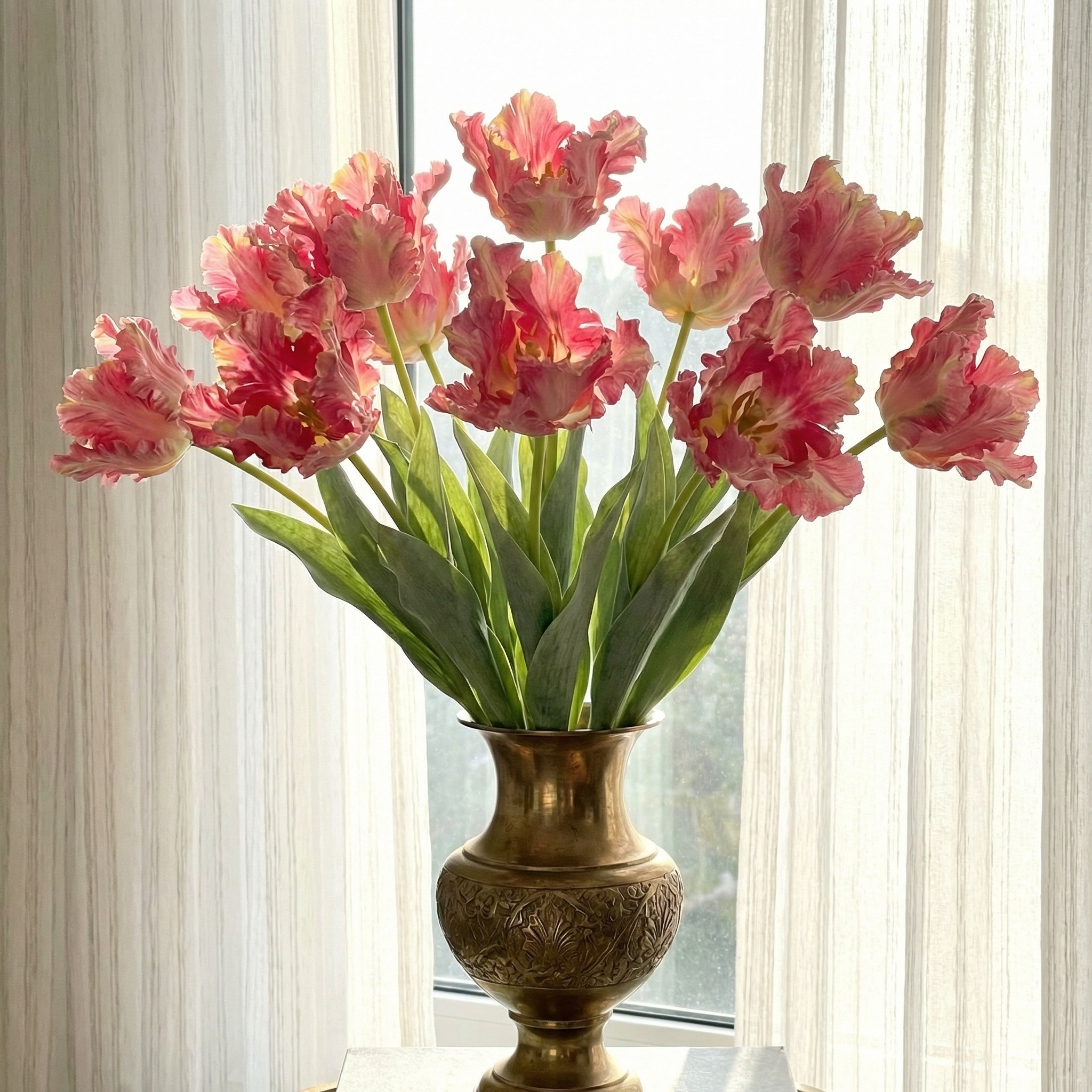 Dramatic Ruffled Tulips Stems