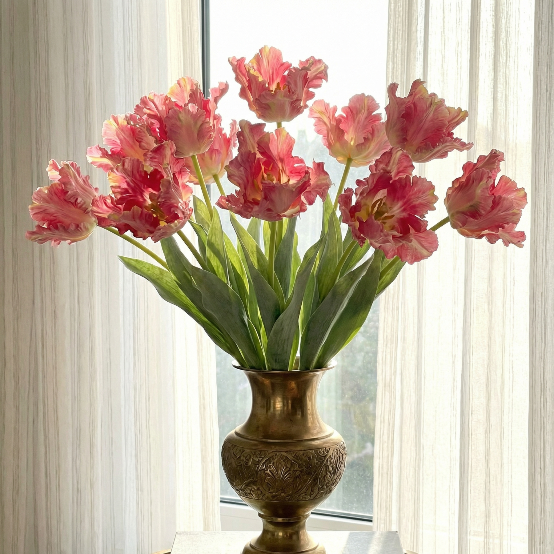 Dramatic Ruffled Tulips Stems