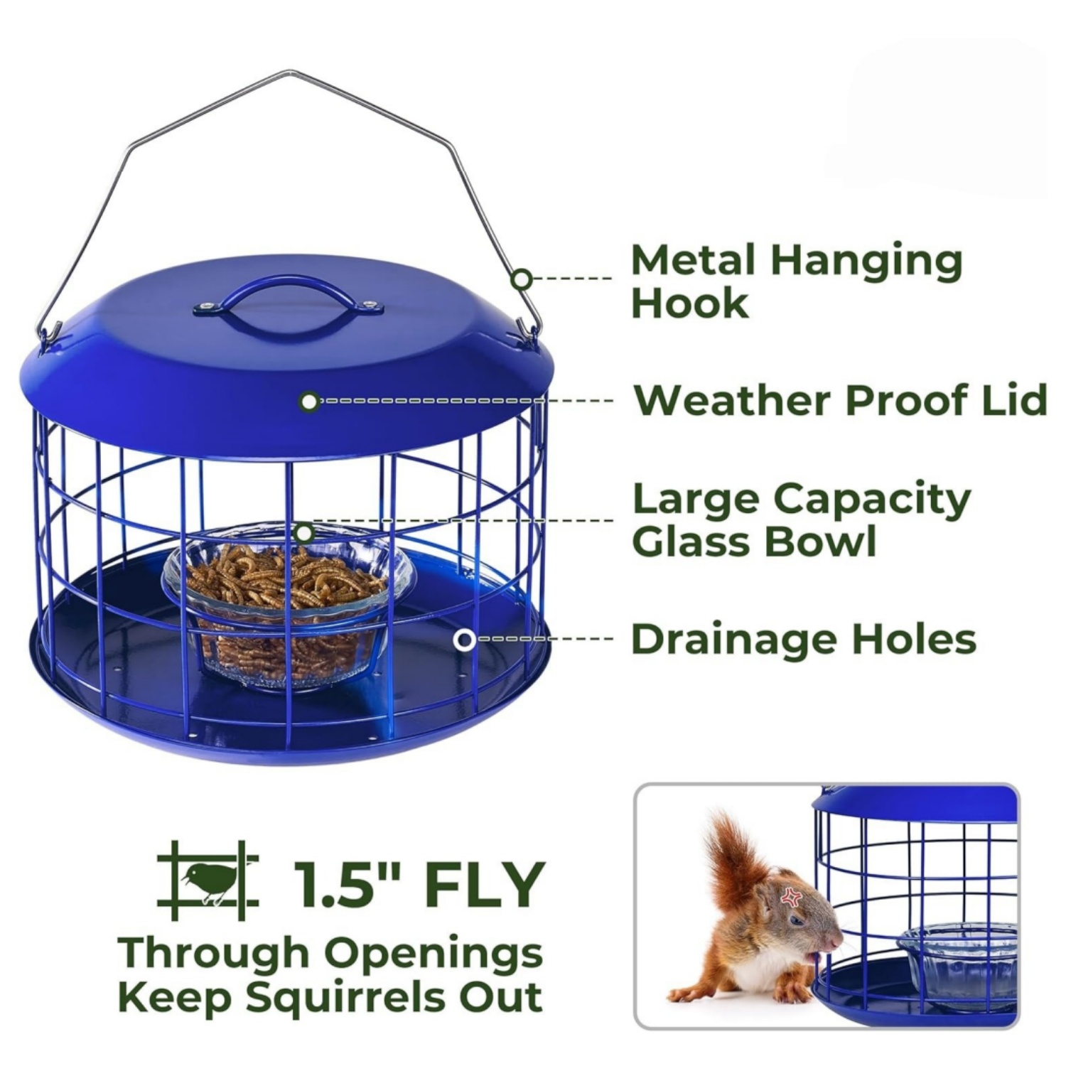 Bluebird Feeders for Outdoors Hanging