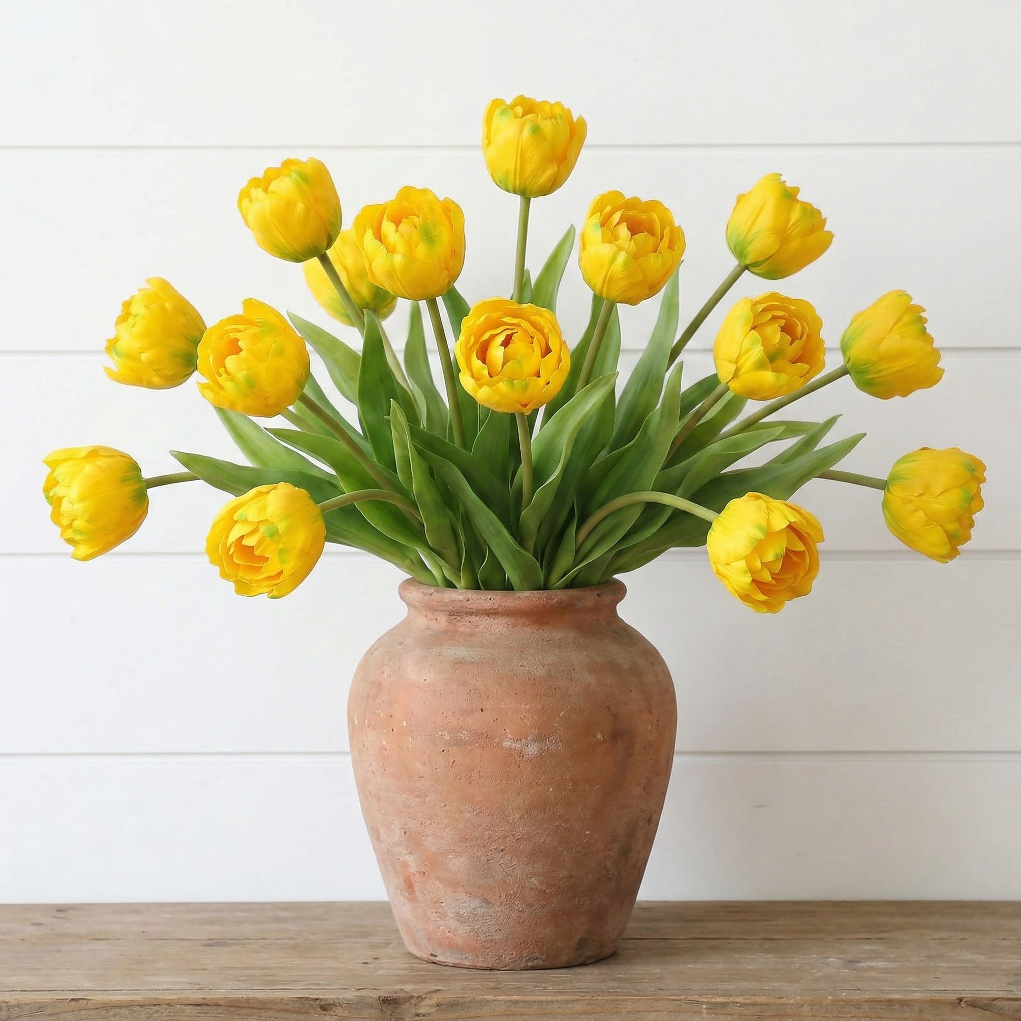 Double Tulip Stem