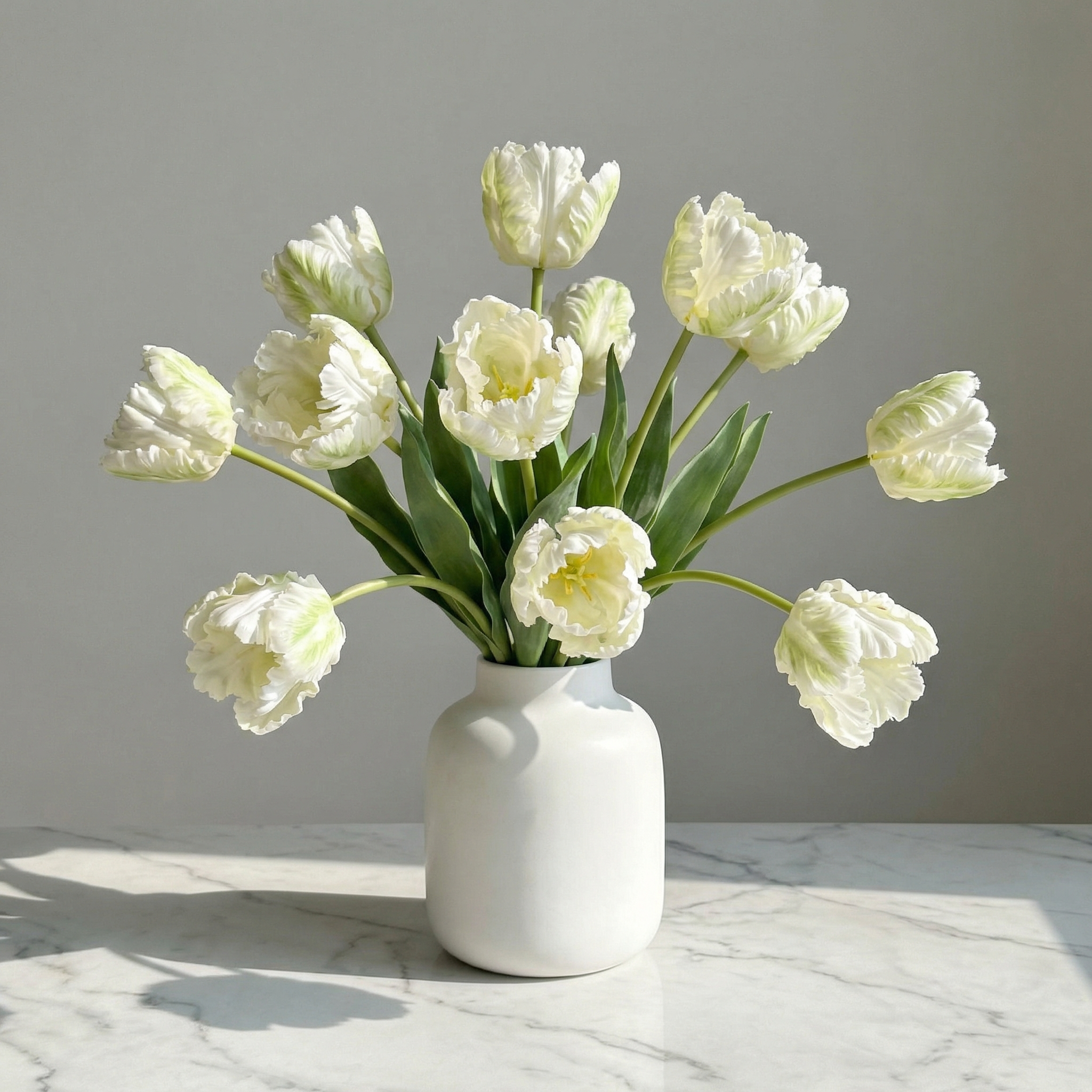 Dramatic Ruffled Tulips Stems