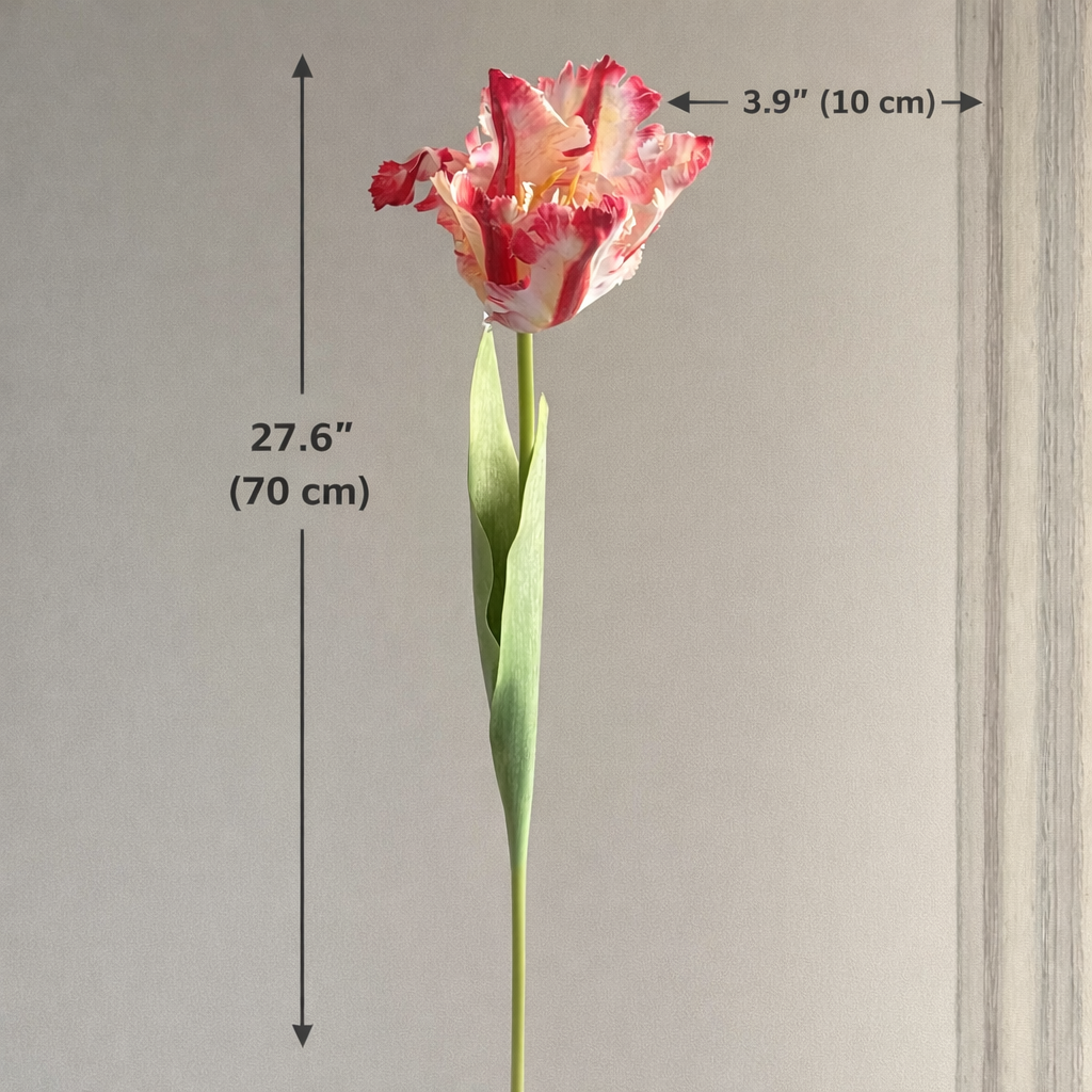 Dramatic Ruffled Tulips Stems