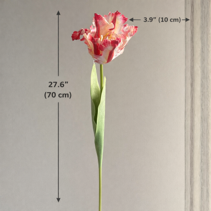 Dramatic Ruffled Tulips Stems