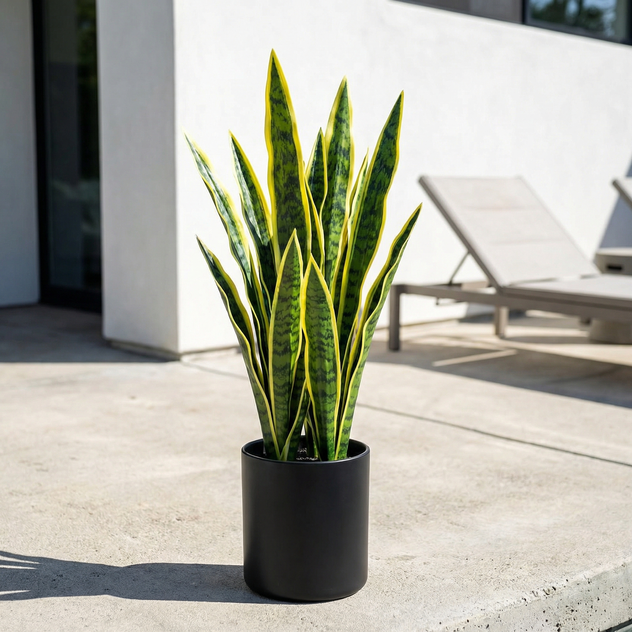 Extra Long Artificial UV tolerant Sansevieria Greenery