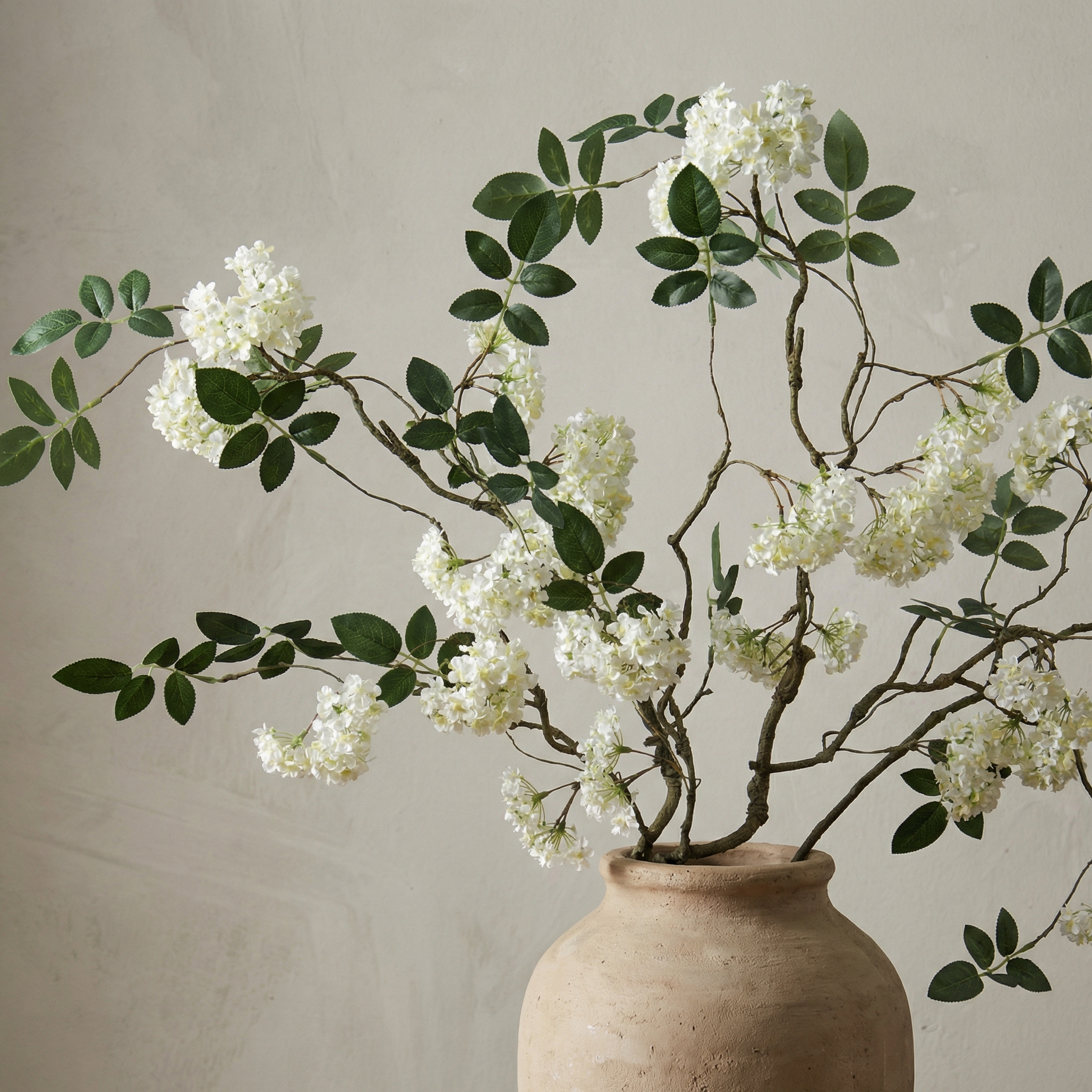 White Snowball Branch Stem