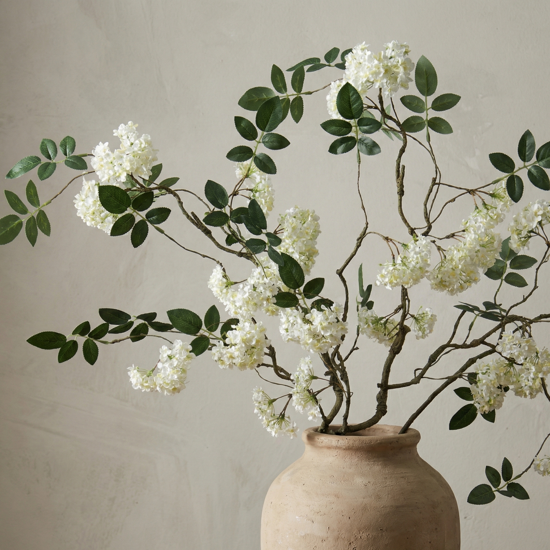 White Snowball Branch Stem