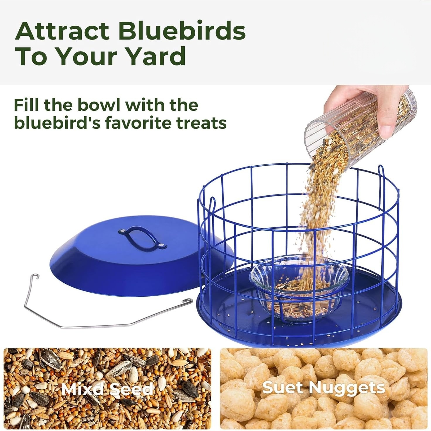 Bluebird Feeders for Outdoors Hanging