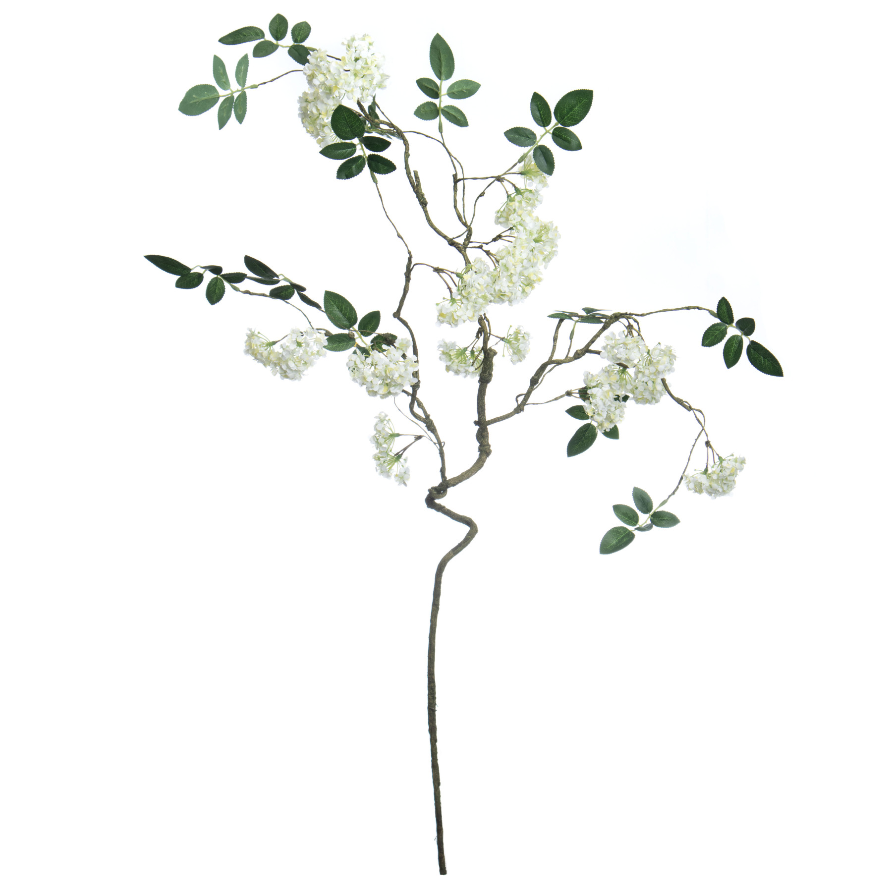 White Snowball Branch Stem