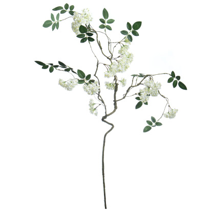 White Snowball Branch Stem