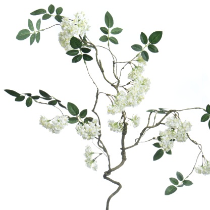 White Snowball Branch Stem