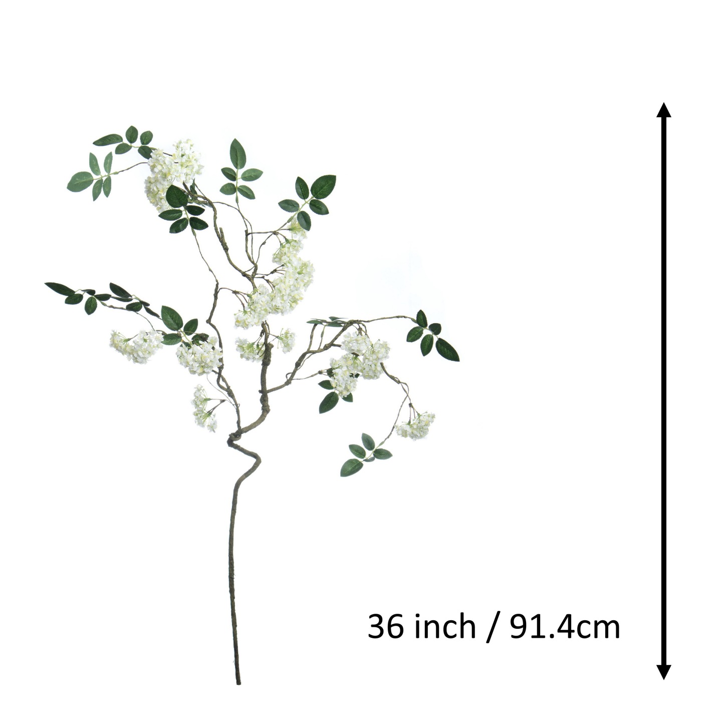 White Snowball Branch Stem