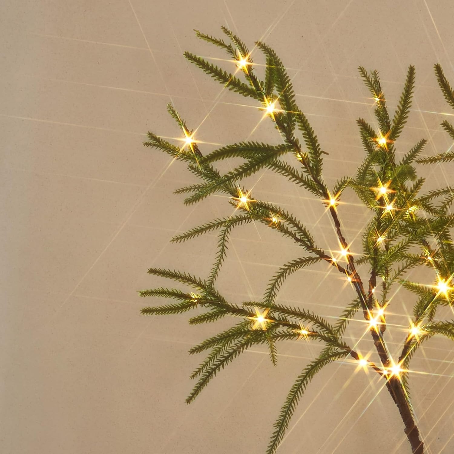 Lighted Norfolk Pine Branches