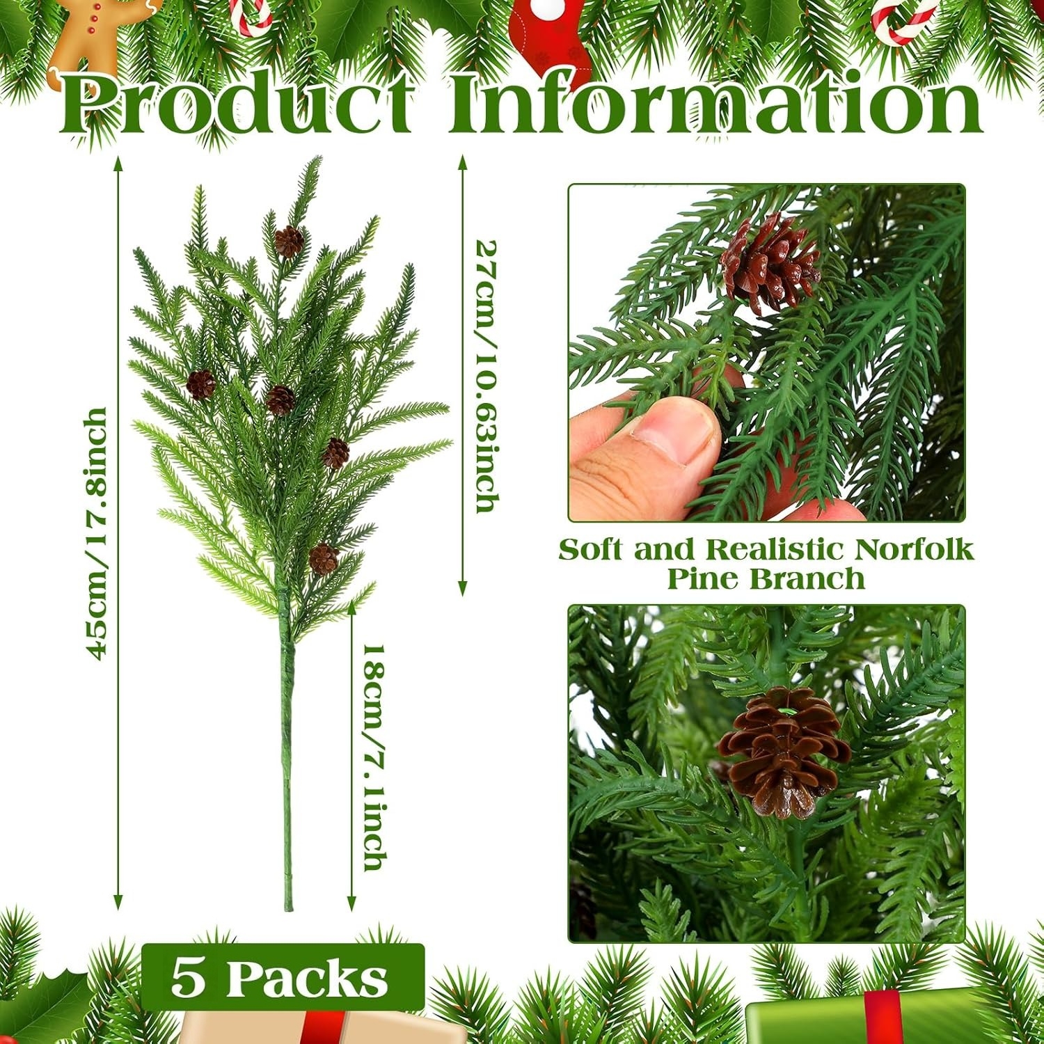 Norfolk Pine Branches