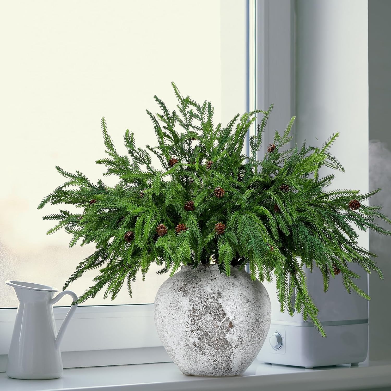Norfolk Pine Branches