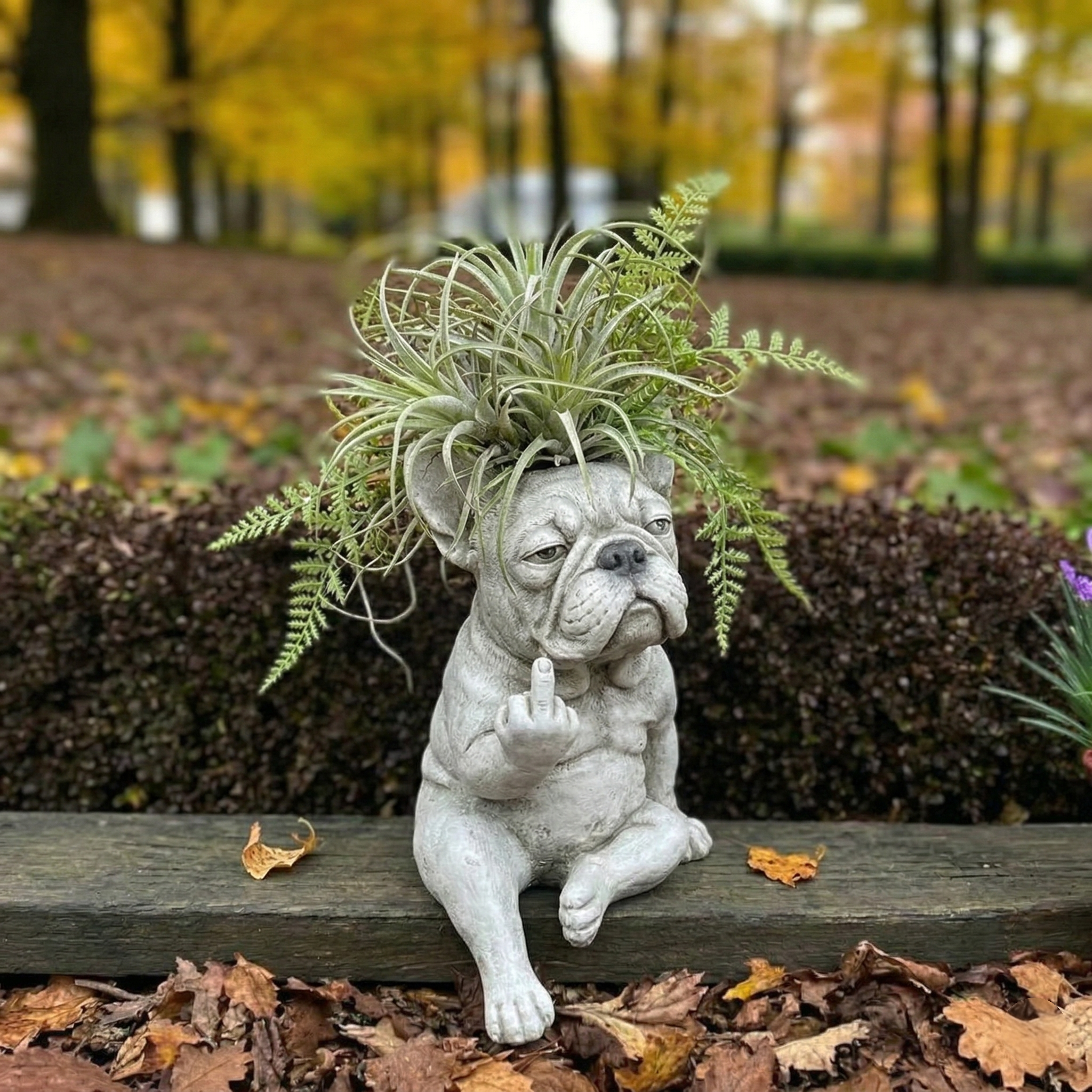 Funny Bulldog Planter Pot with Attitude for Indoor Outdoor Decor