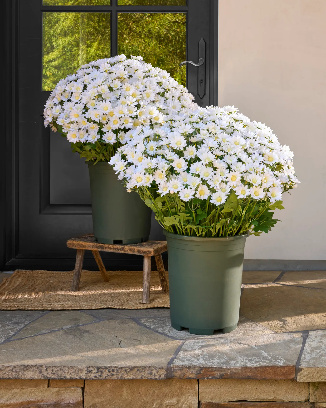 Artificial Outdoor Sunset Mums Flowers - UV resistant, Waterproof, Windproof