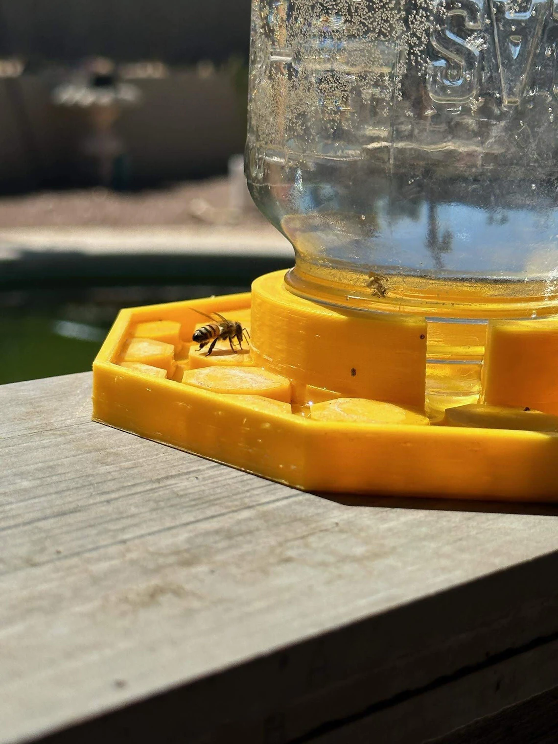 Bee Feeder - The Happy Bee Hydration Station