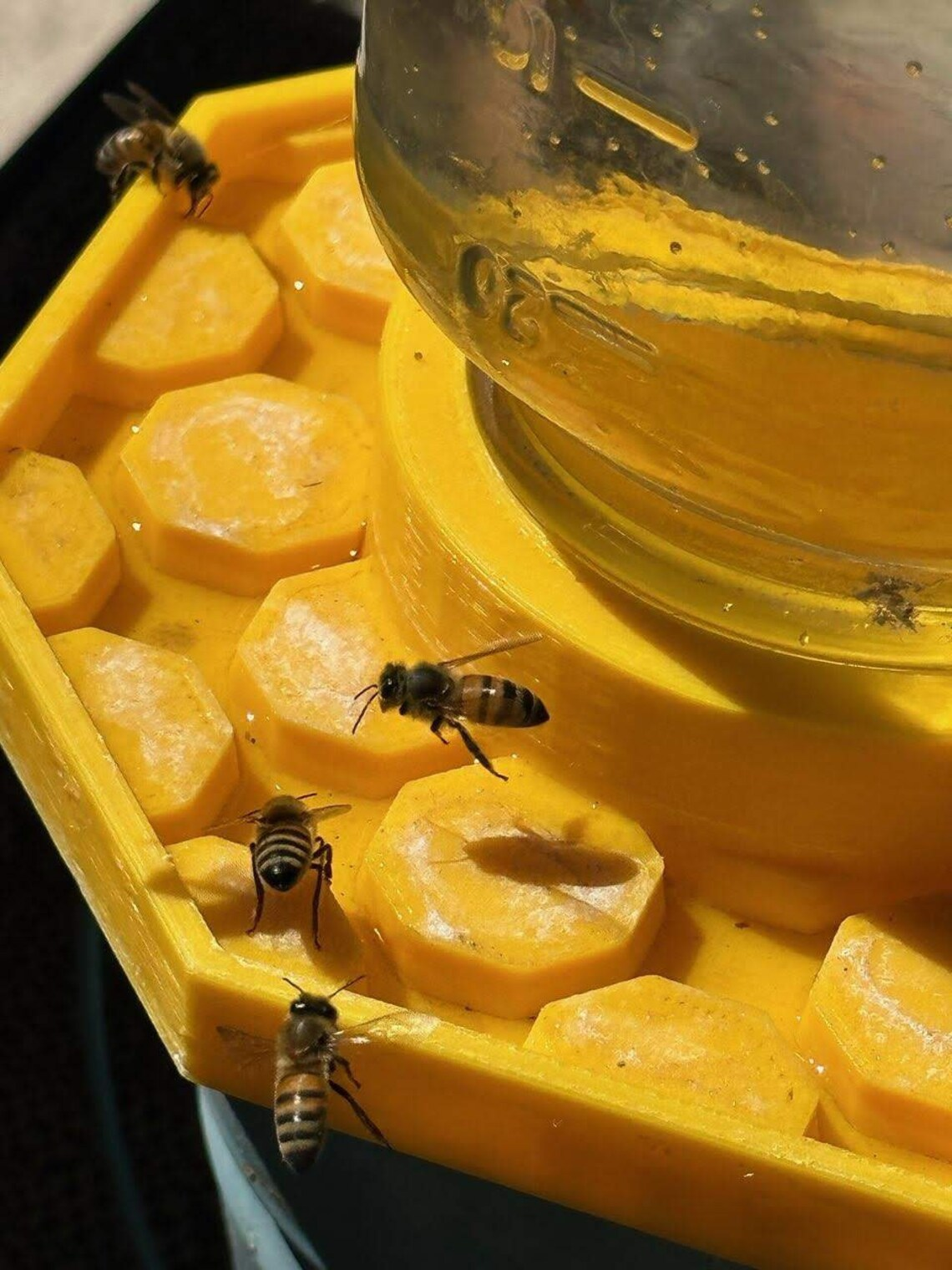 Bee Feeder - The Happy Bee Hydration Station