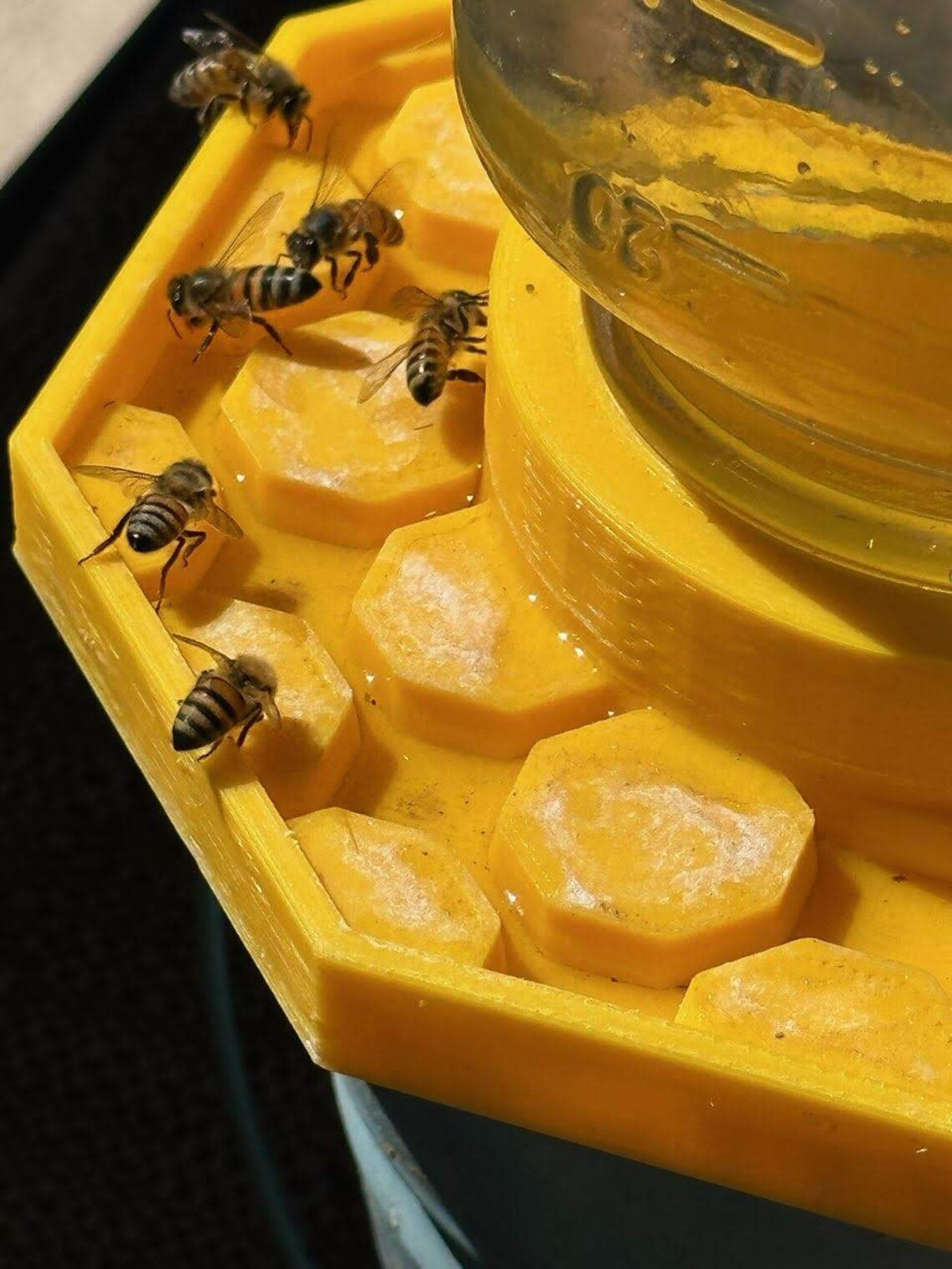 Bee Feeder - The Happy Bee Hydration Station
